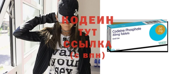 прущие грибы Осинники
