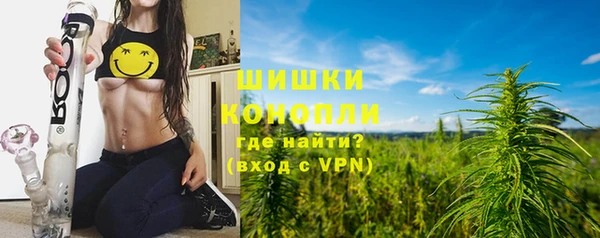 прущие грибы Осинники