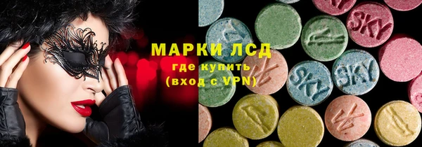 прущие грибы Осинники